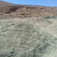 کاه سبز مخلوط نرم