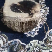 الات موسیقی قدیمی آنتیک