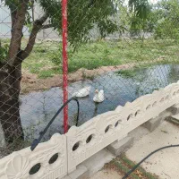 باغ-برای-فروش