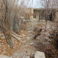 خانه-باغ-قدیمی-با-درخت-براآن-شمالی