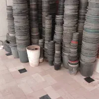 گلدان قیمت مناسب