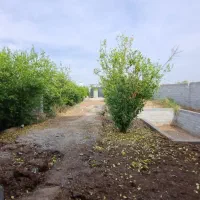 ویلانیمه-سازبنجعفرکوچه-پردیس