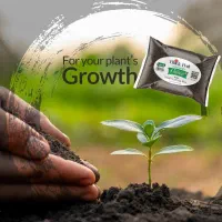 نمایندگی کود های ارگانیک قوی|خدمات باغبانی و درختکاری|فردیس, شهرک راه آهن|دیوار