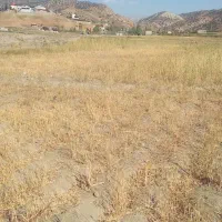 زمین فروشی چهارباغ