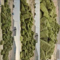 فروش پرس یونجه