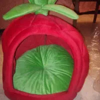 جای خواب   و ظرف آبخوری گربه