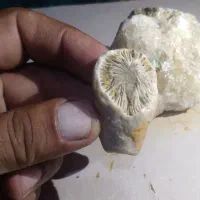 سنگ قیمتی|جواهرات|علیآباد کتول, |دیوار