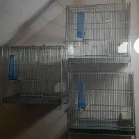 قفس آرمان|لوازم جانبی حیوانات|مراغه, |دیوار