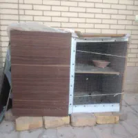 قفس کبوتر و پرنده