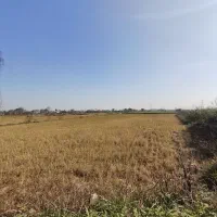 3800متر مزرعه دو بر بیجار مکانیزه شلمان|فروش زمین و ملک کلنگی|شلمان, |دیوار