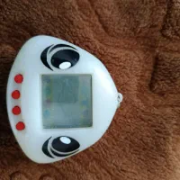 کنسول همراه میکرو