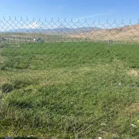 زمین کشاورزی|فروش دفتر صنعتی، کشاورزی، تجاری|ماکو, |دیوار