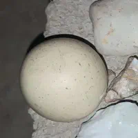 سنگ آسیاب