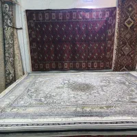 700 شانه|فرش|فسا, |دیوار
