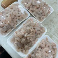 ماهی ومیگو صید روز، پخت قلیه|خوردنی و آشامیدنی|شیراز, قصرالدشت|دیوار