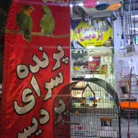 دستگاه جوجه کشی با کیفیت