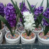 سنبل ۷ سین سفره عید