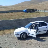 زمین-باغ-در-کهل