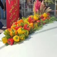 تنوع بالا رو با ما تجربه کنید