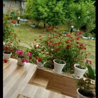 ویلا باغ روستایی|اجارهٔ کوتاهمدت ویلا و باغ|شفت, |دیوار