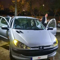 206 نقره ای تمام رنگ