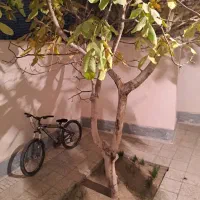 فروش خانه دربست ۱۶۵ متر سند تک برگ عرصه و عیان