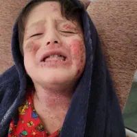 معجزه محصولات ژیک