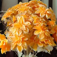 چند عدد وسیله|ظروف سرو و پذیرایی|سبزوار, رضوی|دیوار