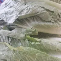نیاز به یک کارگر ساده در بار فروشی