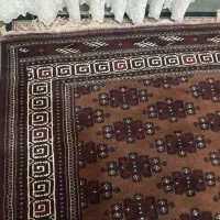 فرش ترکمنی|فرش|بندر ترکمن, |دیوار
