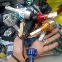 فقط با پرنده معاوضه دارم
