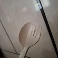 قاشق وچنگال یک بارمصرف