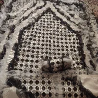روتختی نو