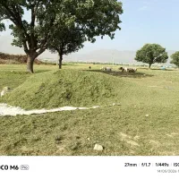 شوور تمیز