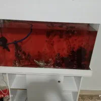 بهترین کیفیت از ما بخواهید