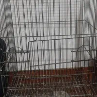 قفس کاسکو یا طوطی