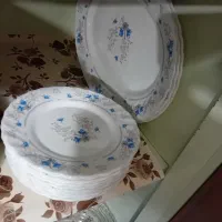 ظروف پذیرای پارس اوپال گل آبی دوازده نفره|ظروف سرو و پذیرایی|دماوند, گیلاوند|دیوار