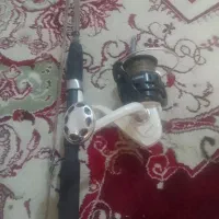 لنسر ماهی گیری