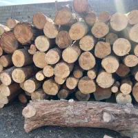 چوب تخته بنایی کاج راش روس گردو چنار لمبه ترموود|مصالح و تجهیزات ساختمان|شهریار, شهرک وائین|دیوار