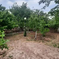 باغ چهاردیواری ۲۰۰۰متری با مجوز