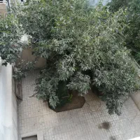 ویلایی کلنگی ۲۰۰ متر بر ۱۰ بهار برغان فروغی ۲ طبقه