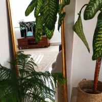 آینه قدی|آینه|فیروزآباد (فارس), |دیوار