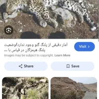 به آگهی توجه کنید