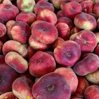 فروش نهال هلو تضمینی