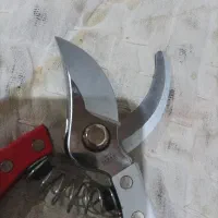 قیچی باغبانی جاپن