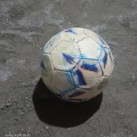 اسبابازی‌