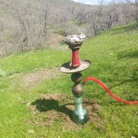 قلیان دوسیب شلیل 4ساله طعم دار