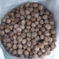 خشکبار ..گردو|خوردنی و آشامیدنی|خنداب, |دیوار