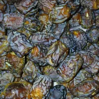 خرمای زاهدی و آلوچه ای درجه یک|خوردنی و آشامیدنی|یزد, |دیوار