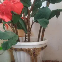 گل مصنوعی|گل مصنوعی|بجنورد, |دیوار